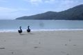 Property photo of 860 Adventure Bay Road Adventure Bay TAS 7150