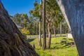 Property photo of 24 Weller Street Fletcher NSW 2287