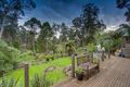 Property photo of 20 Torry Hill Road Upwey VIC 3158