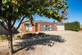 Property photo of 19 Declan Way Echuca VIC 3564