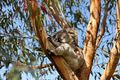 Property photo of 1/24 Weatherall Road Cheltenham VIC 3192
