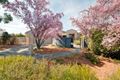 Property photo of 43 Rischbieth Crescent Gilmore ACT 2905