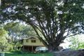 Property photo of 255 Browns Crossing Road Eungai Creek NSW 2441