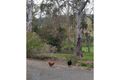 Property photo of 1 Tuck Street Mount Torrens SA 5244