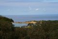 Property photo of 6A Third Avenue Anglesea VIC 3230