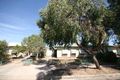 Property photo of 64 Shakespeare Avenue Plympton Park SA 5038