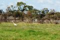 Property photo of 23A Nairn Road Coodanup WA 6210