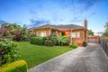 Property photo of 44 Marshall Road Box Hill North VIC 3129