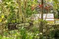 Property photo of 2148 Springbrook Road Springbrook QLD 4213