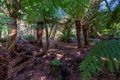 Property photo of 150 Cascade Dam Road Derby TAS 7264