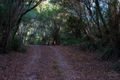 Property photo of 150 Cascade Dam Road Derby TAS 7264