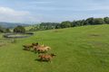 Property photo of 4951 Illawarra Highway Robertson NSW 2577