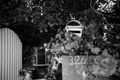 Property photo of 326 West Tamar Road Riverside TAS 7250