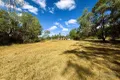 Property photo of 1899 Beaudesert-Beenleigh Road Tamborine QLD 4270