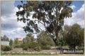 Property photo of 68 Swain Street Gungahlin ACT 2912