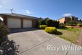 Property photo of 11 Falcon Crescent Blakeview SA 5114
