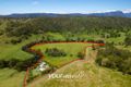 Property photo of 345 Widgee Creek Road Hillview QLD 4285