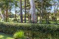Property photo of 22 Lakeside Drive Peregian Springs QLD 4573