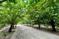 Property photo of 30 Kemp Road New Gisborne VIC 3438