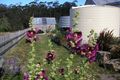 Property photo of 10 Water Reserve Road Tunnack TAS 7120