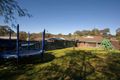 Property photo of 11 Taynish Avenue Camden South NSW 2570
