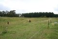 Property photo of 495 Smith And Others Road Sassafras TAS 7307