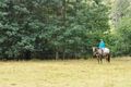Property photo of 1740 Frankford Road Frankford TAS 7275