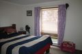 Property photo of 77 Hanson Street Freeling SA 5372