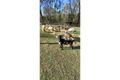 Property photo of 184-188 Walker Drive Kooralbyn QLD 4285