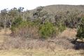 Property photo of 29 Haylock Track Swifts Creek VIC 3896
