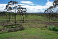 Property photo of 10 Casuarina Street Bowen QLD 4805