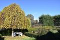 Property photo of 15 Shakes Road Nairne SA 5252