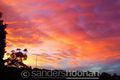 Property photo of 1 Murdock Crescent Lugarno NSW 2210