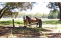 Property photo of 410 Hanging Rock Road Sutton Forest NSW 2577