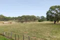 Property photo of 25 McDonalds Road Clunes VIC 3370