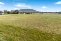 Property photo of 100 Trellis Drive Heathcote VIC 3523