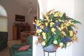 Property photo of 17 Goldberg Place Bridgeman Downs QLD 4035