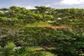 Property photo of 16 Beachside Close Palm Cove QLD 4879