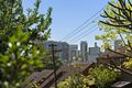 Property photo of 53 Ferry Road Glebe NSW 2037