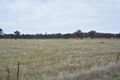 Property photo of 4939 Goldfields Way Temora NSW 2666