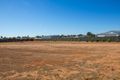 Property photo of 14 Monarch Court Nichols Point VIC 3501