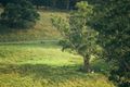 Property photo of 276 Rockleigh Road Exeter NSW 2579