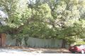 Property photo of 3/2 Trawalla Avenue Toorak VIC 3142