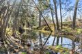 Property photo of 1053 Mirannie Road Reedy Creek NSW 2330