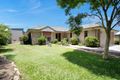 Property photo of 34 Bradman Drive Glenella QLD 4740