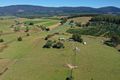 Property photo of 35973 Tasman Highway Springfield TAS 7260