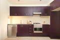 Property photo of 1/1247 Botany Road Mascot NSW 2020