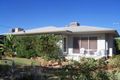 Property photo of 101 Jacaranda Street Red Cliffs VIC 3496