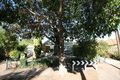 Property photo of 15 Harvey Avenue Westbourne Park SA 5041