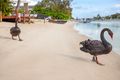 Property photo of 22 Parnki Parade Palm Beach QLD 4221